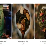 Quelle est la Meilleure Marque de Thé Vert ? Guide Complet 2025